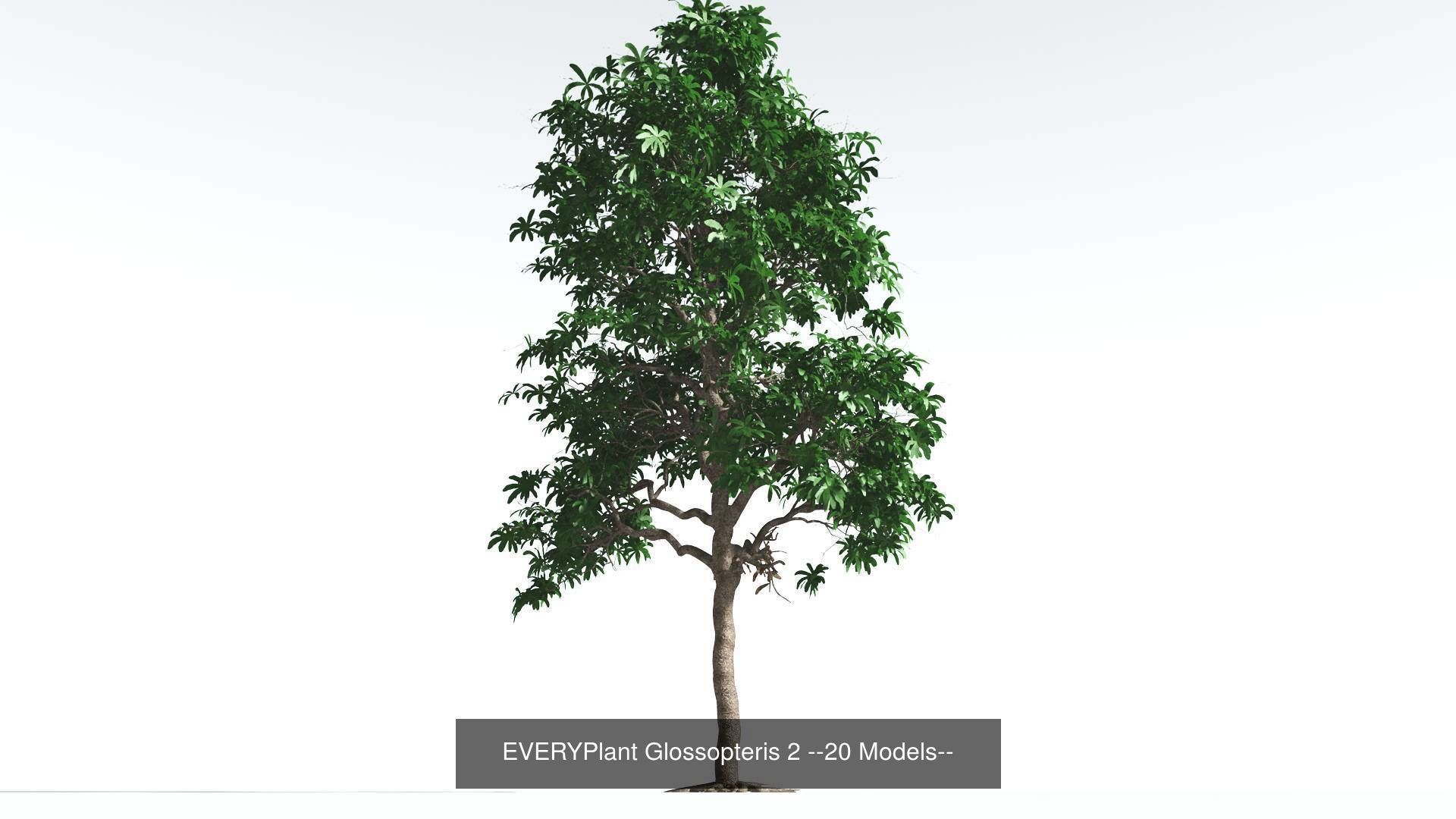 EVERYPlant Permian Biome MEGAPack --536 Models-- 3D Model Collection_6