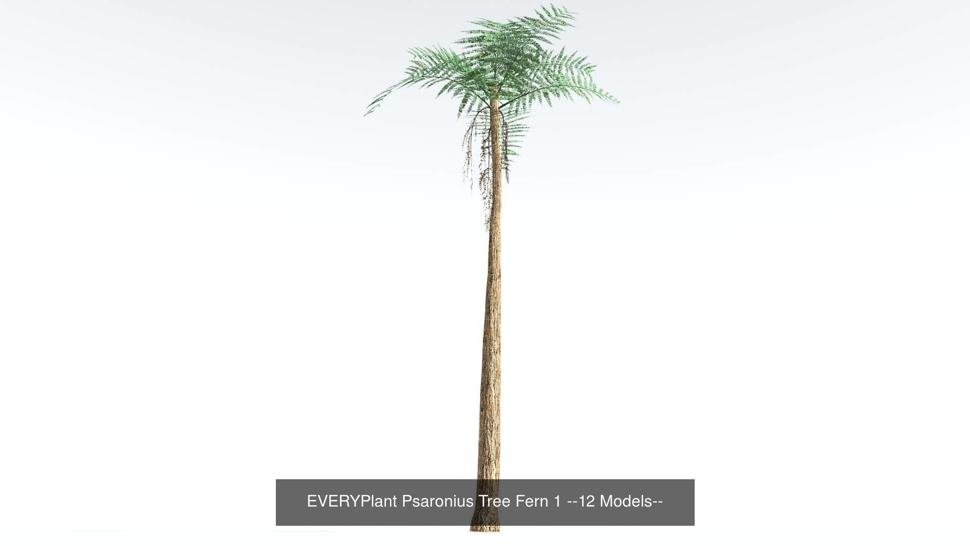 EVERYPlant Permian Biome MEGAPack --536 Models-- 3D Model Collection_17
