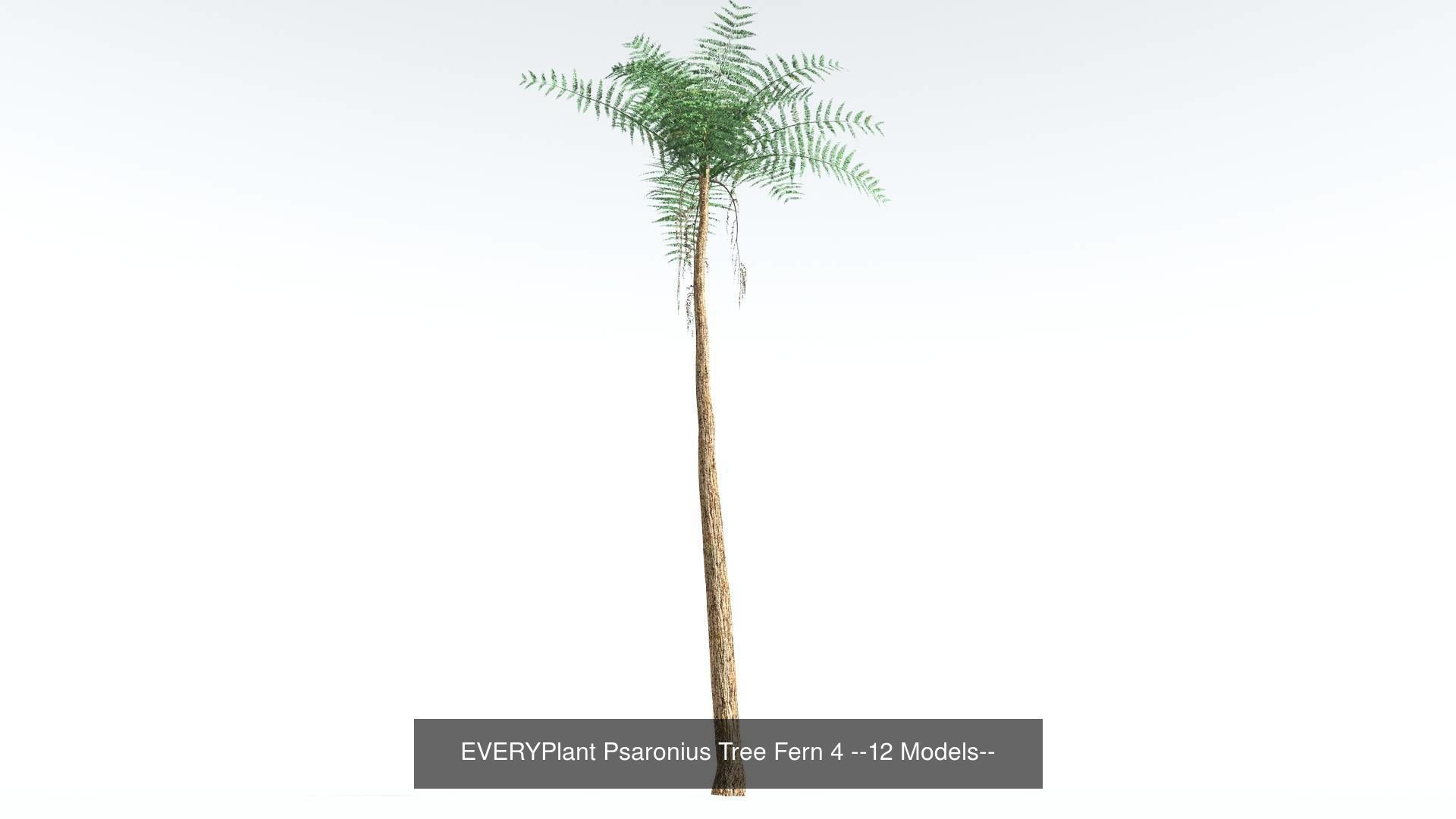 EVERYPlant Permian Biome MEGAPack --536 Models-- 3D Model Collection_20