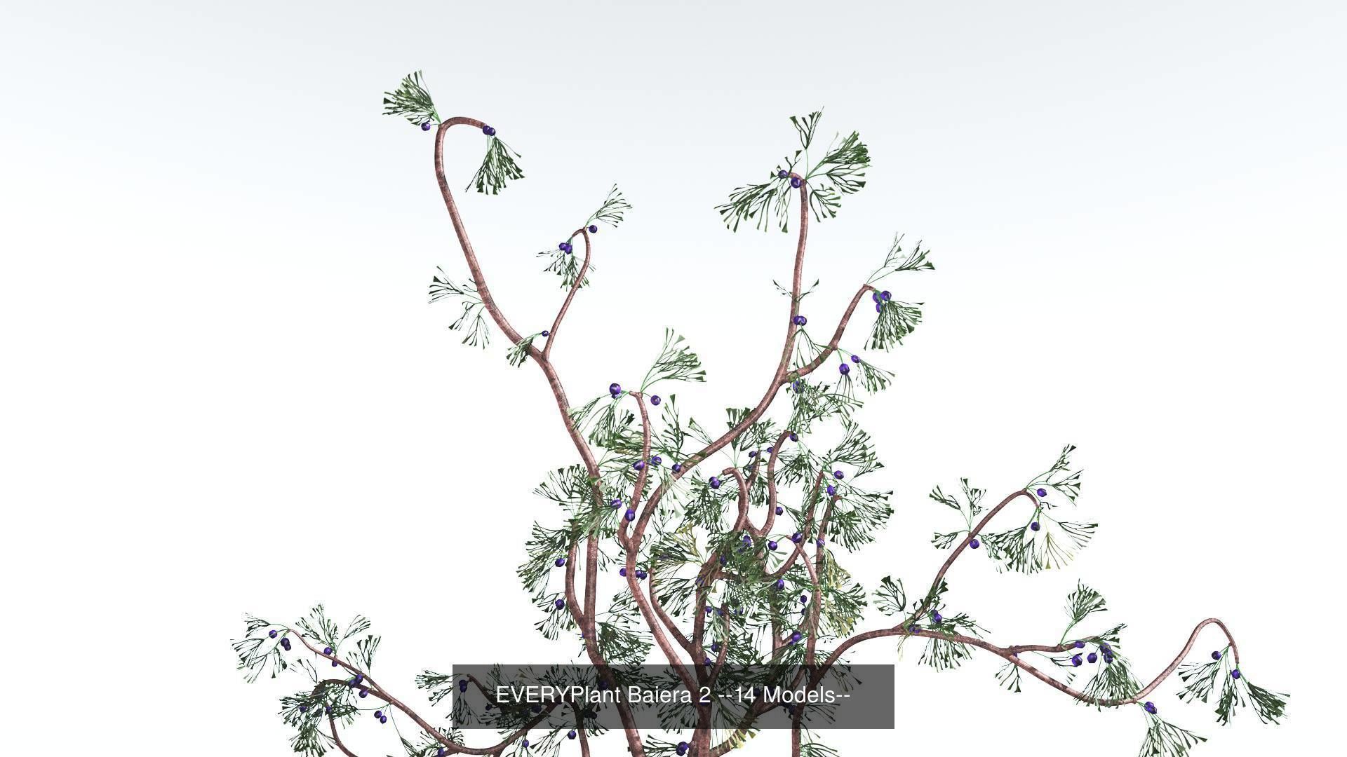 EVERYPlant Permian Biome MEGAPack --536 Models-- 3D Model Collection_30