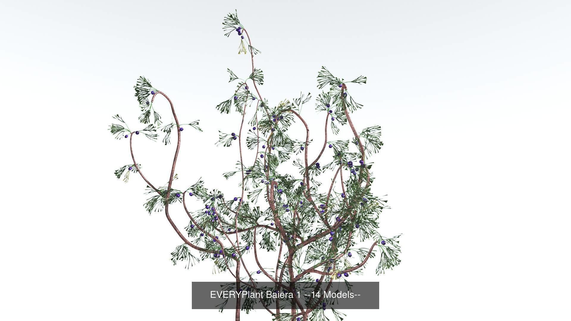 EVERYPlant Permian Biome MEGAPack --536 Models-- 3D Model Collection_29