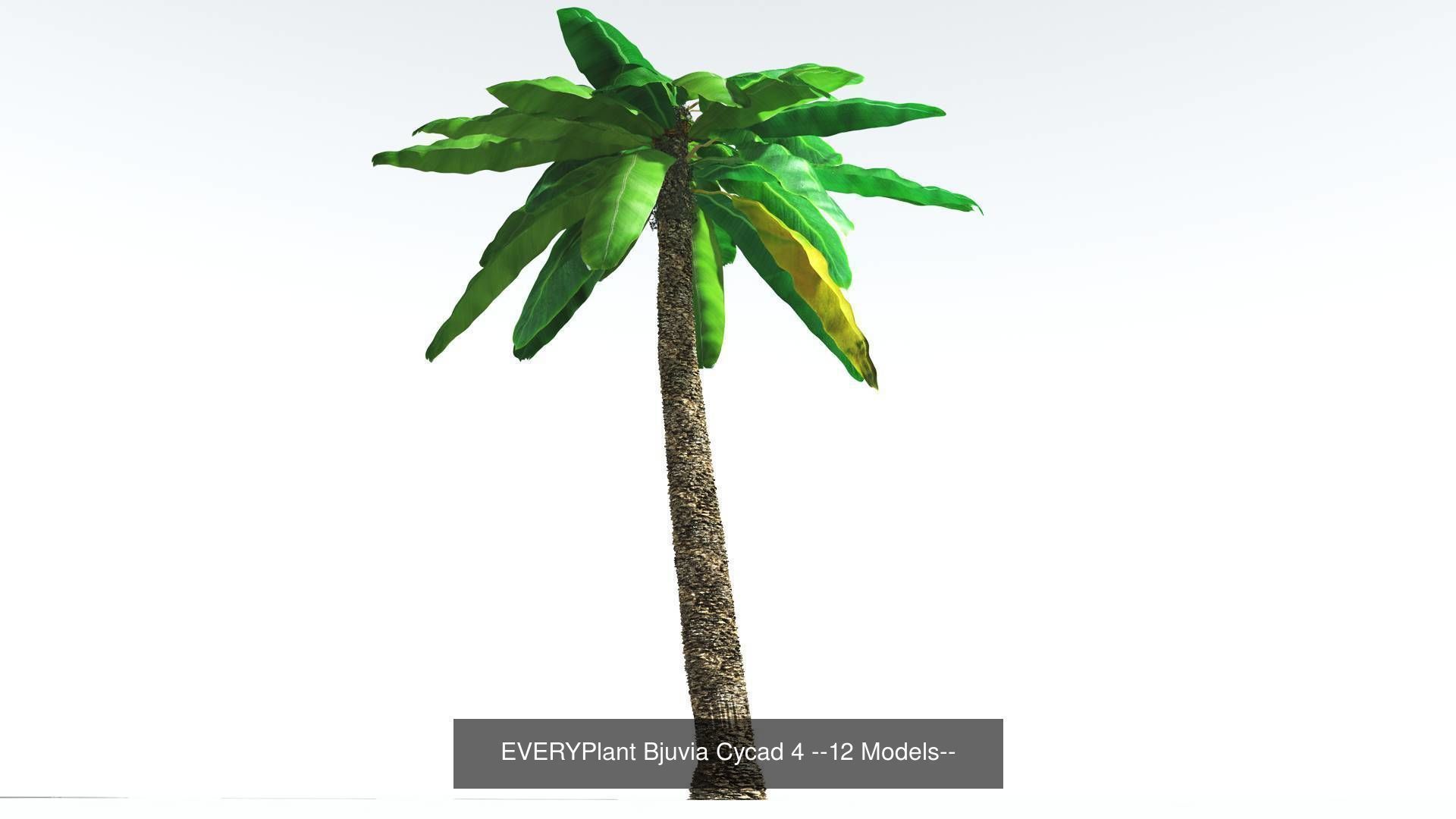 EVERYPlant Permian Biome MEGAPack --536 Models-- 3D Model Collection_36