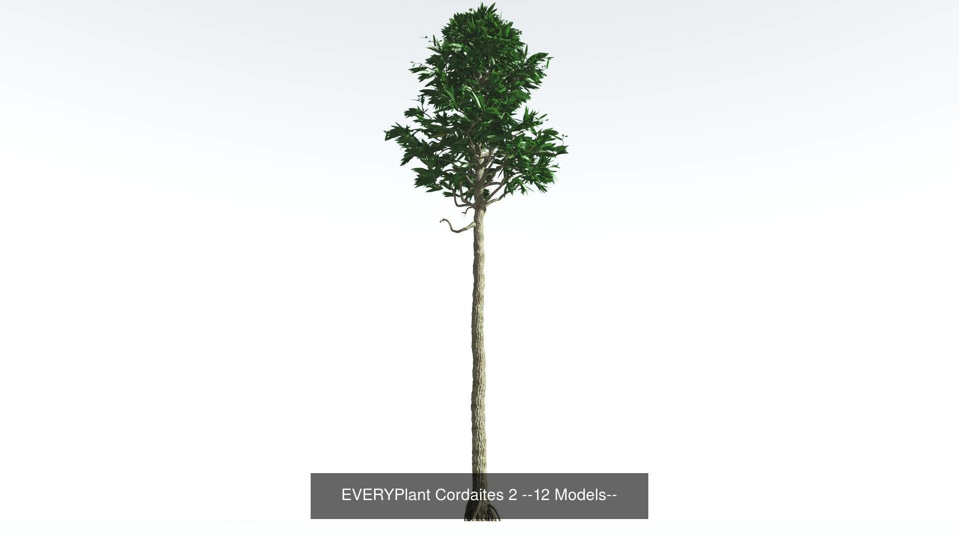 EVERYPlant Permian Biome MEGAPack --536 Models-- 3D Model Collection_14