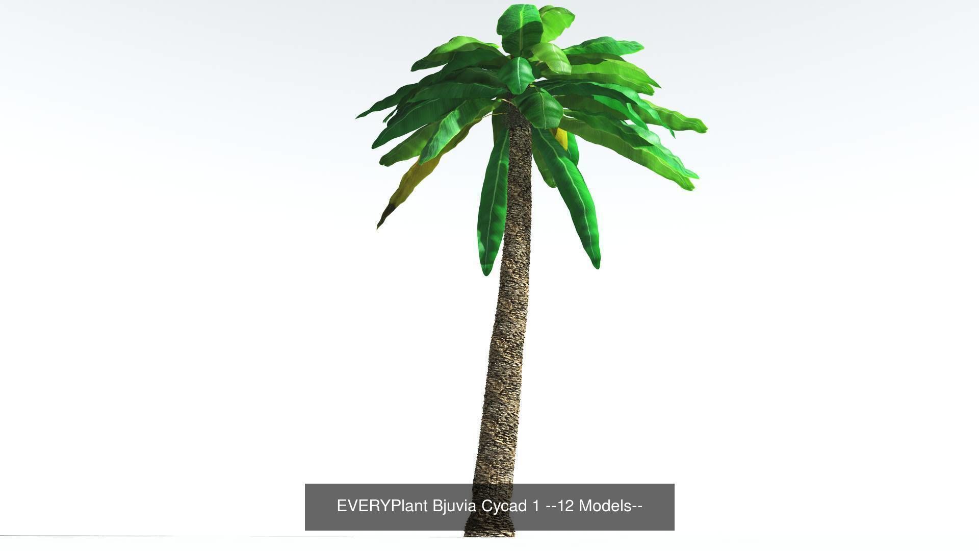 EVERYPlant Permian Biome MEGAPack --536 Models-- 3D Model Collection_33