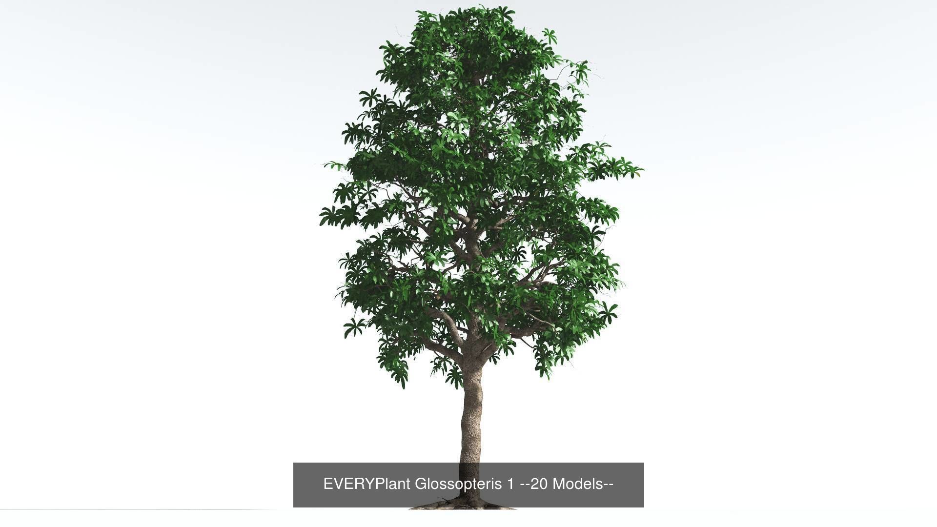 EVERYPlant Permian Biome MEGAPack --536 Models-- 3D Model Collection_5
