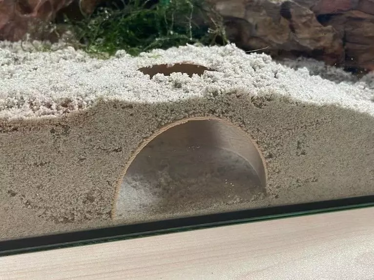 Fish tank underground hiding cave 3D print model