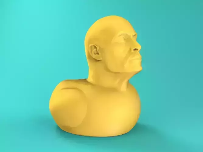 Dwayne The Duck Johnson