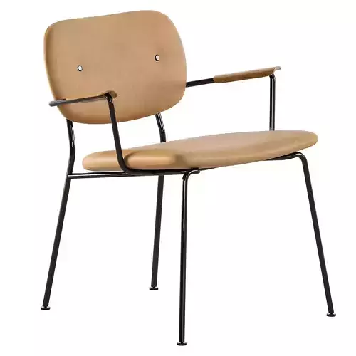 Co Lounge chair