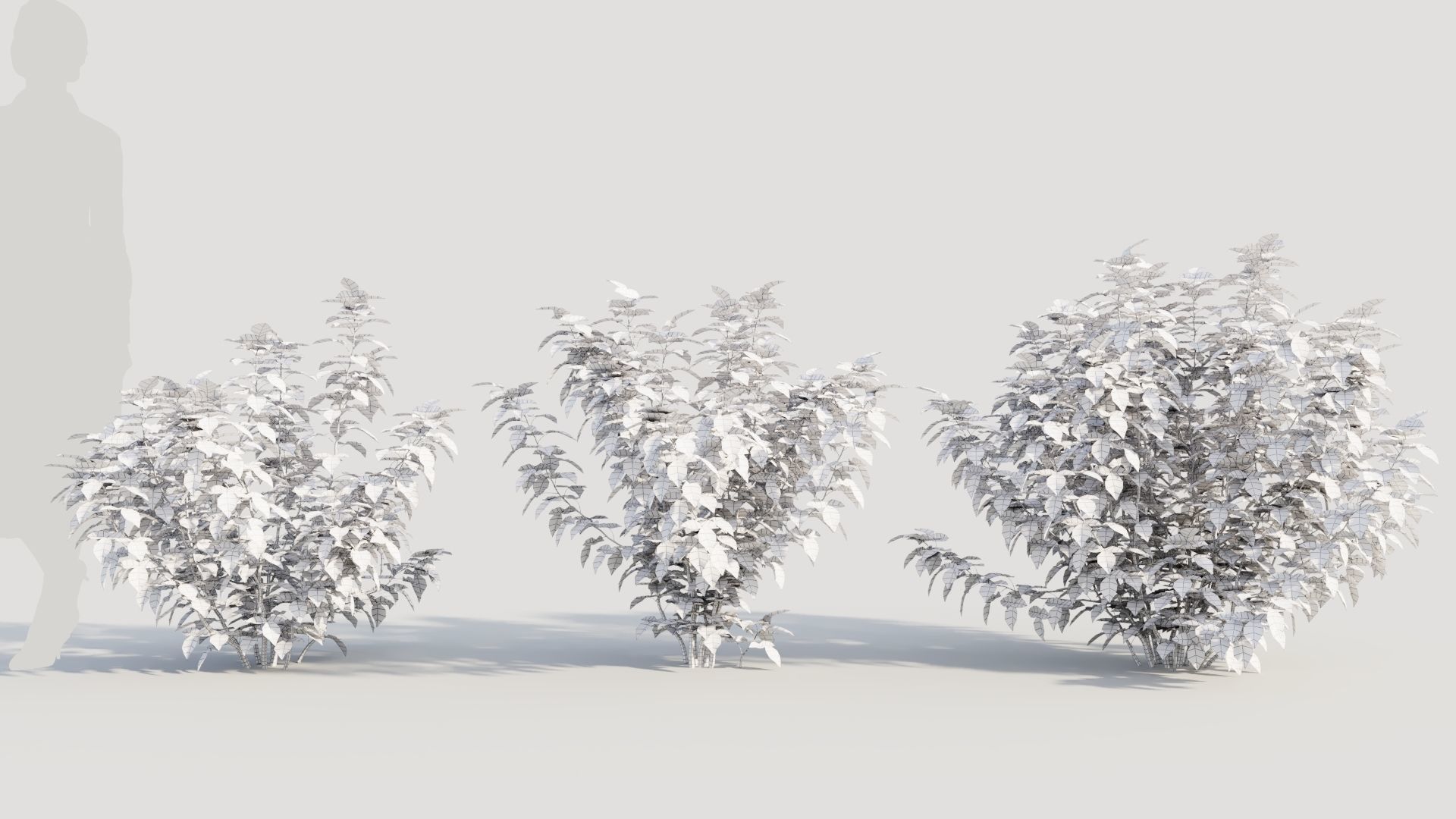 Rhus aromatica b 3D model_8