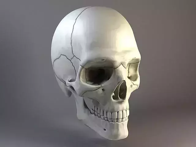 Man Skull 3D model