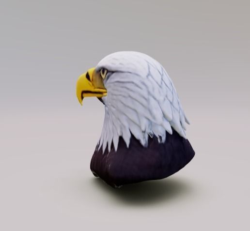 Head of the Eagle 3D model_3