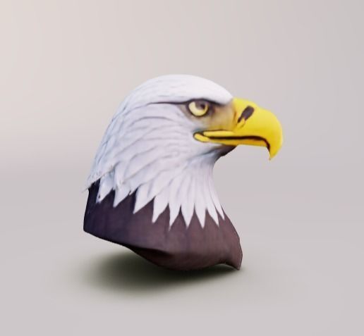 Head of the Eagle 3D model_2