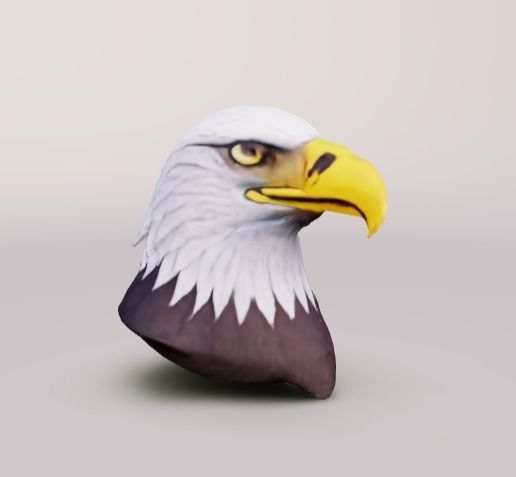 Head of the Eagle 3D model_1