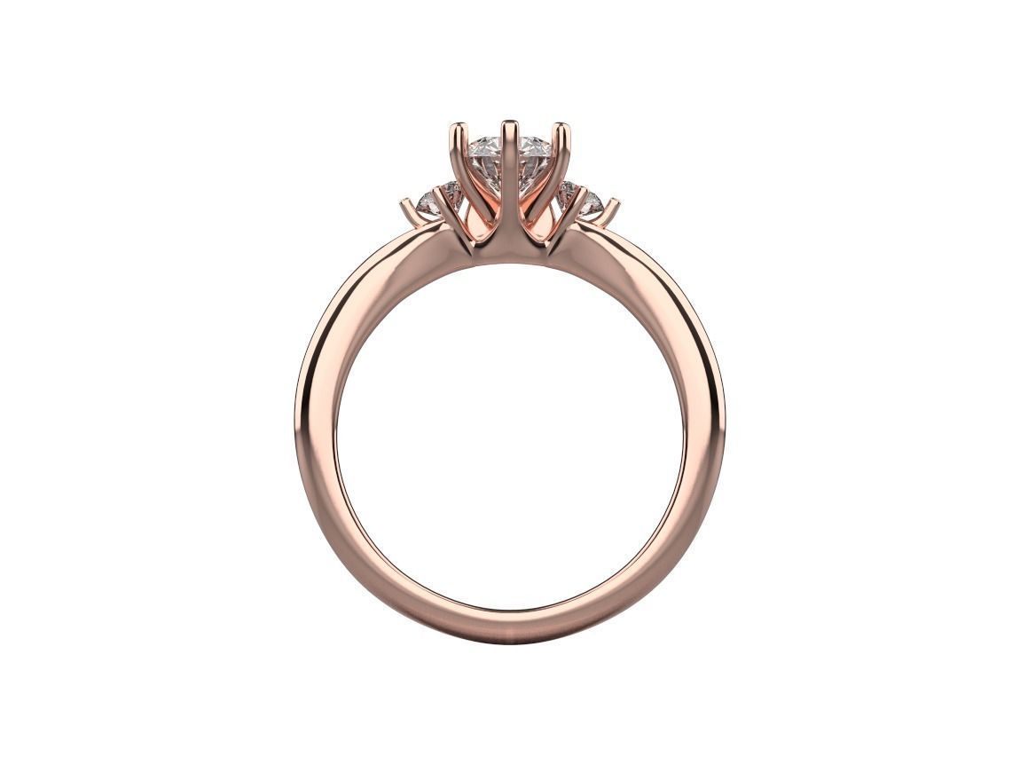 ring code 252 3D print model_8