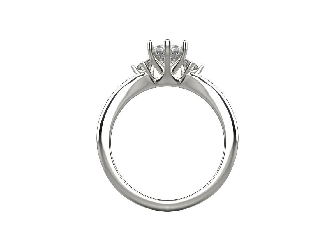 ring code 252 3D print model_9