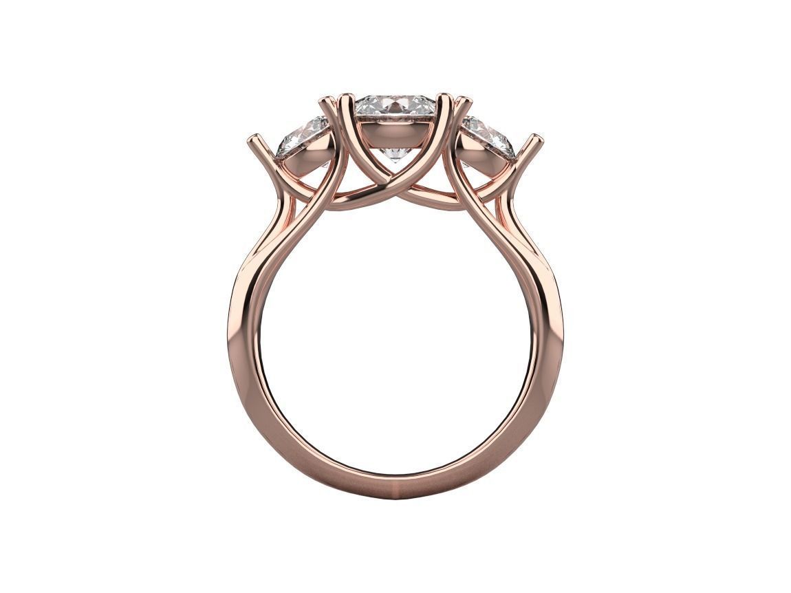 ring code 249 3D print model_8