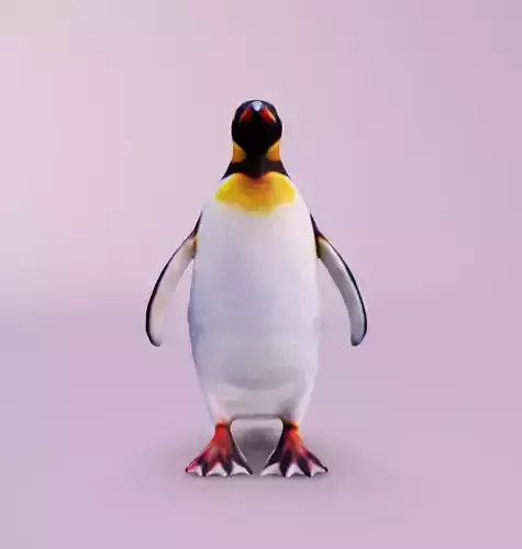 Realistic Antarctic Bird Penguin 3D model