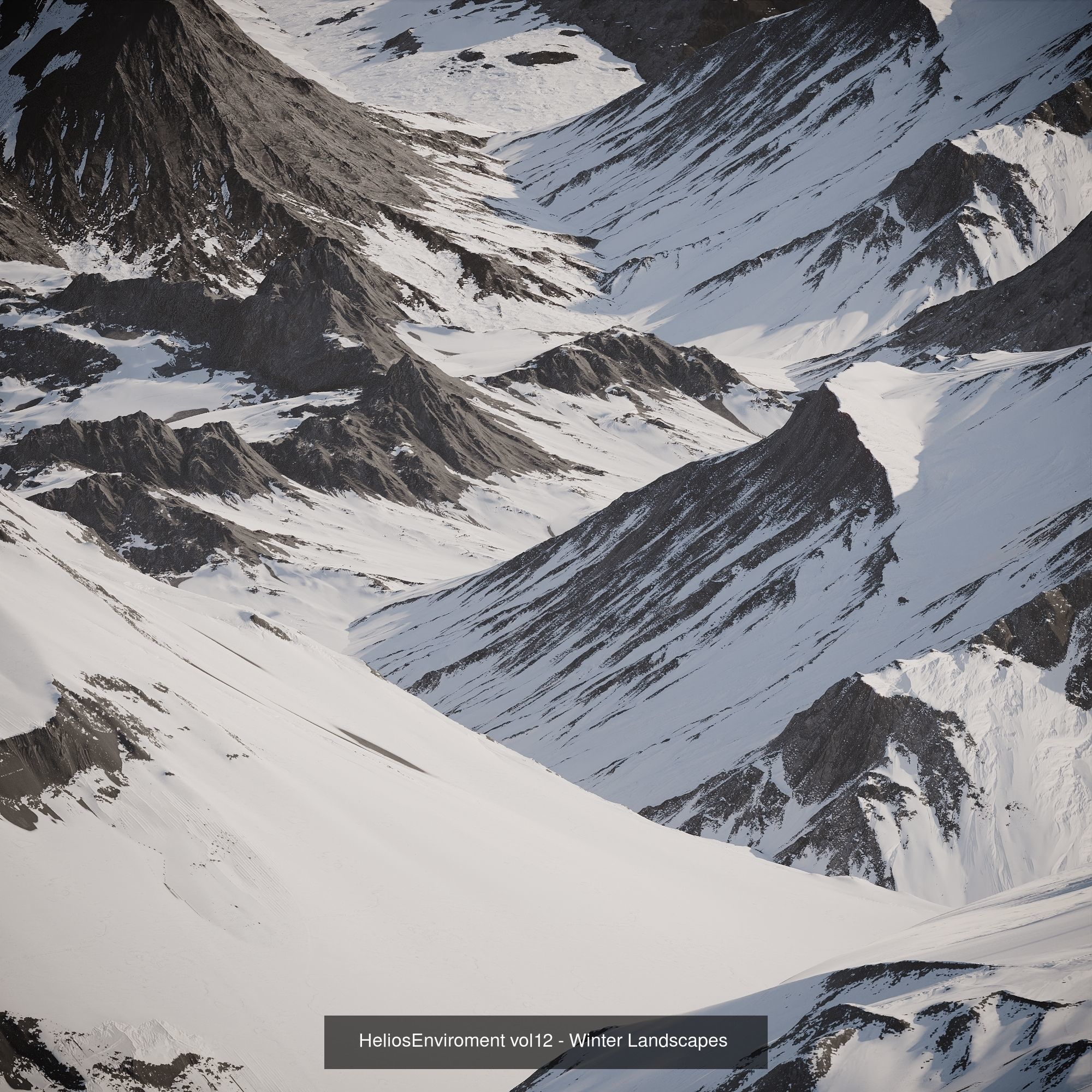 Winter Biom Collection _3