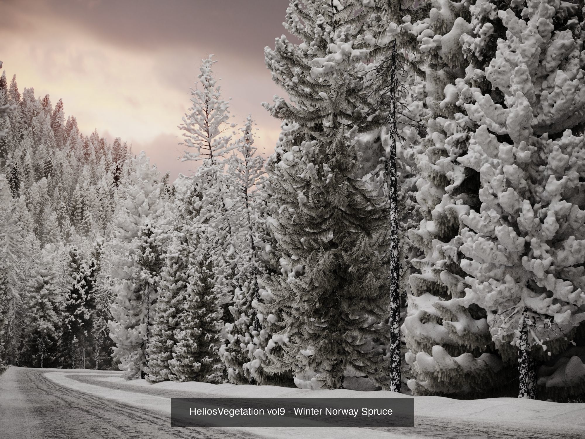 Winter Biom Collection _1