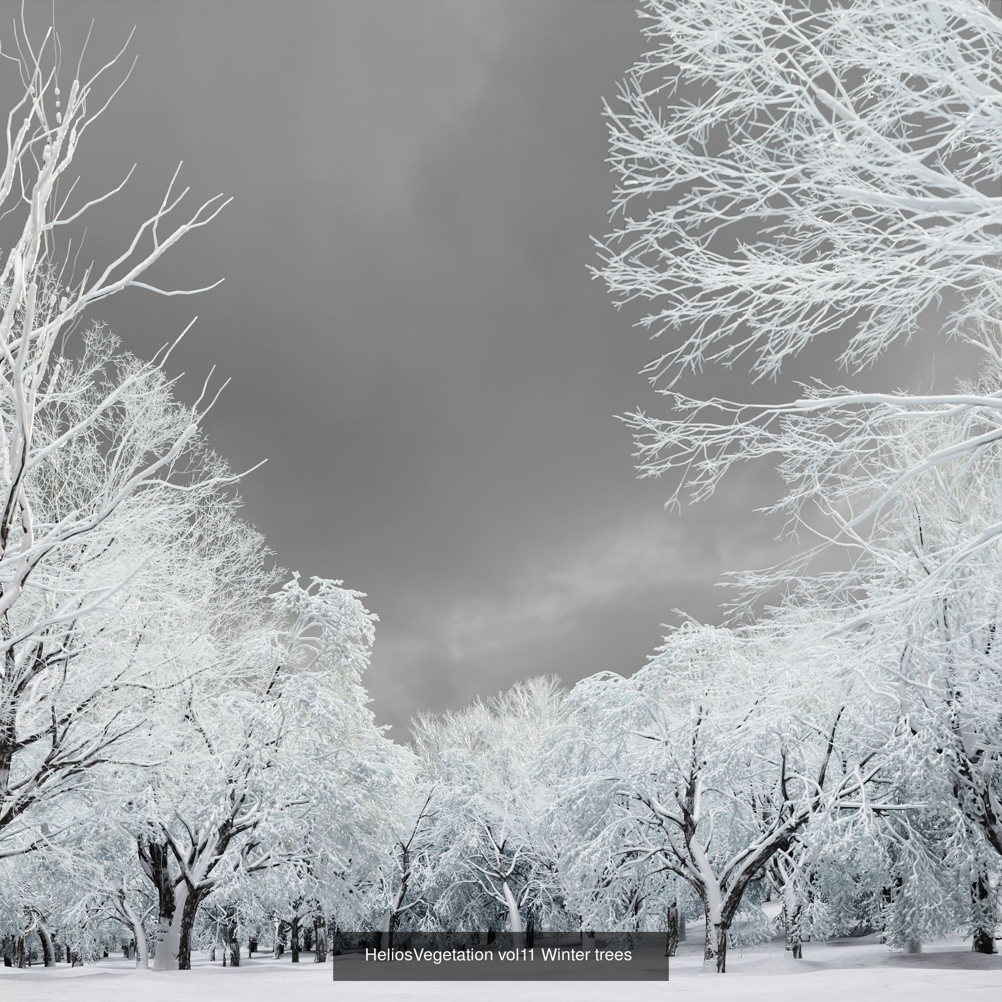 Winter Biom Collection _2