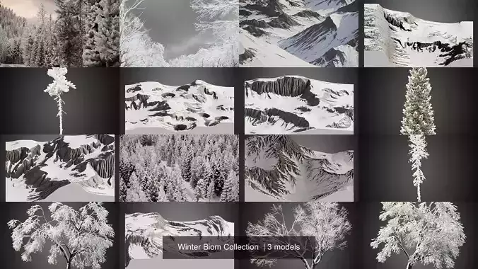 Winter Biom Collection  