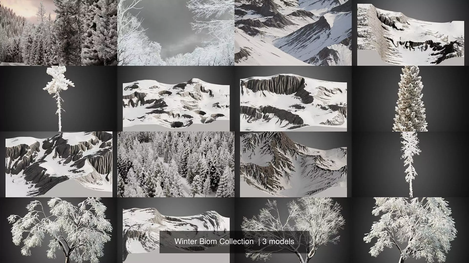 Winter Biom Collection _0