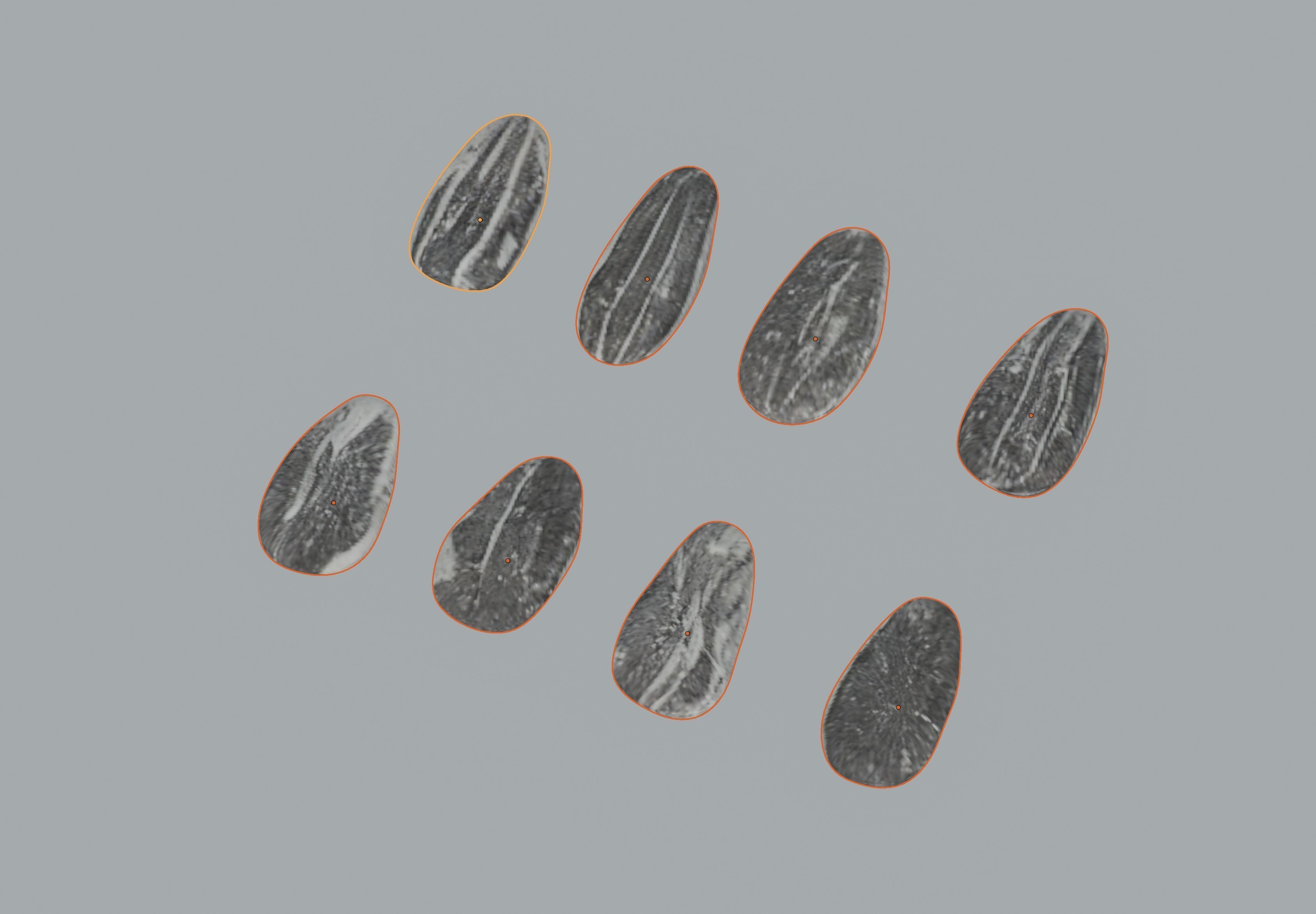 Sunflower Seeds 3D model_8