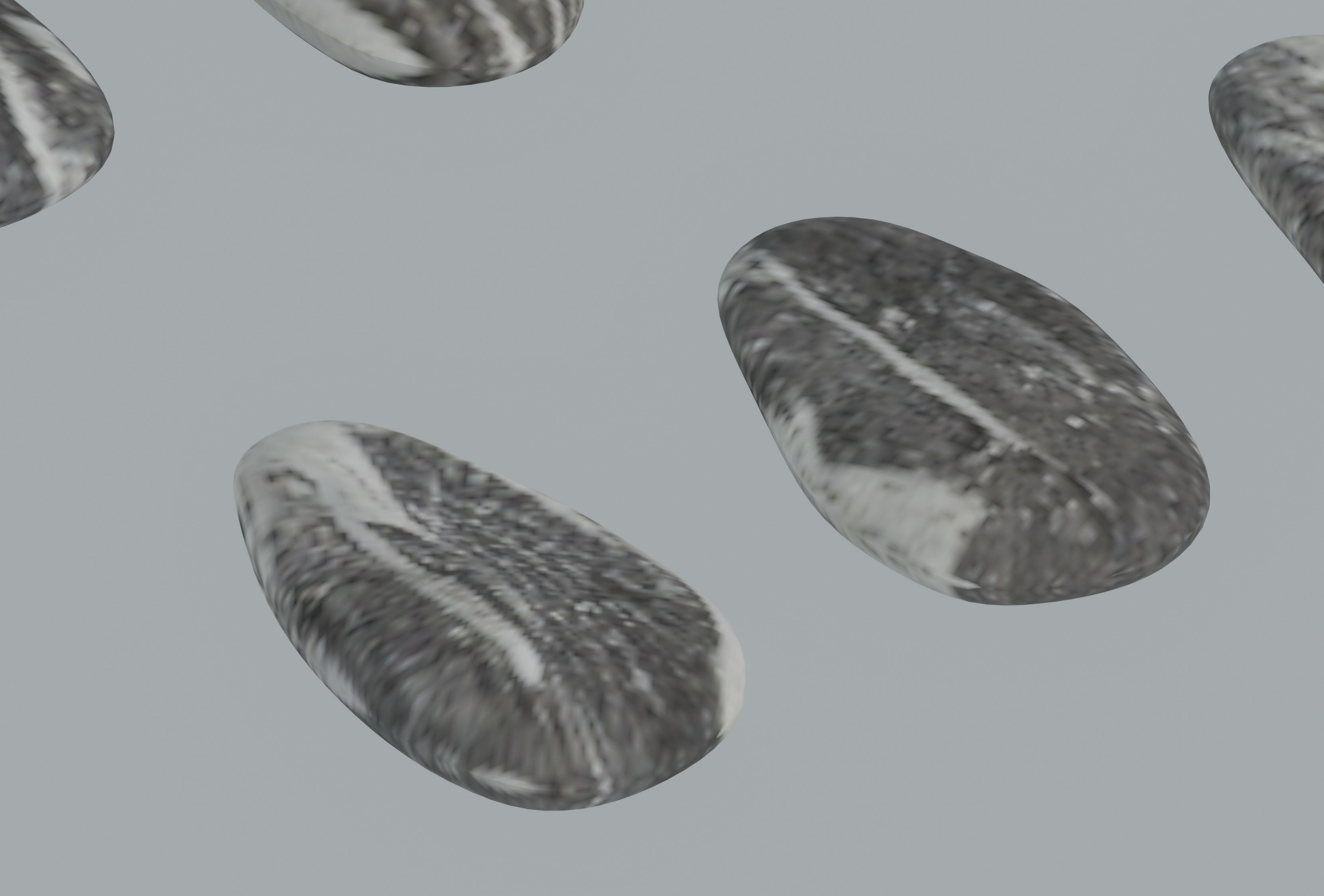 Sunflower Seeds 3D model_6