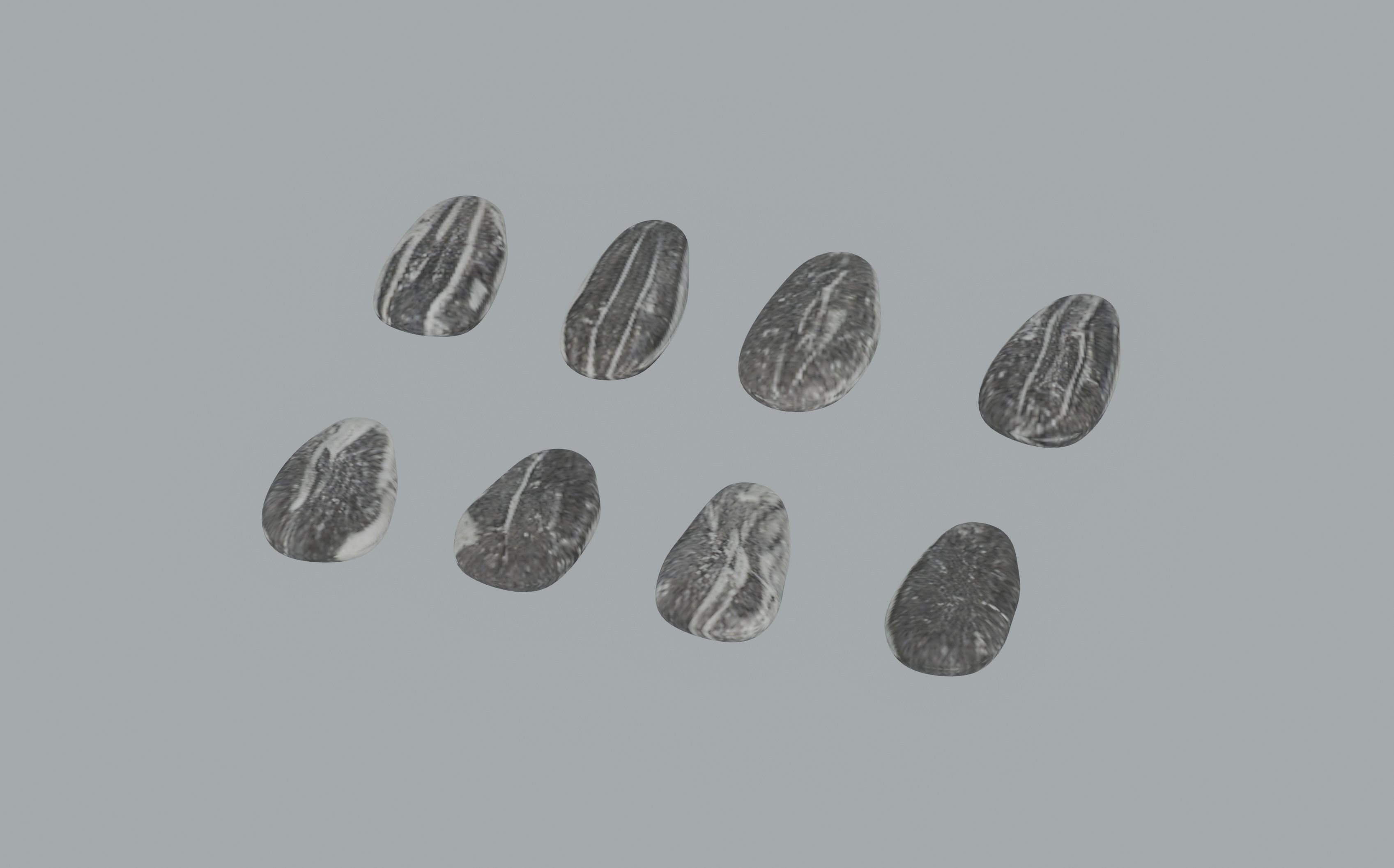 Sunflower Seeds 3D model_1