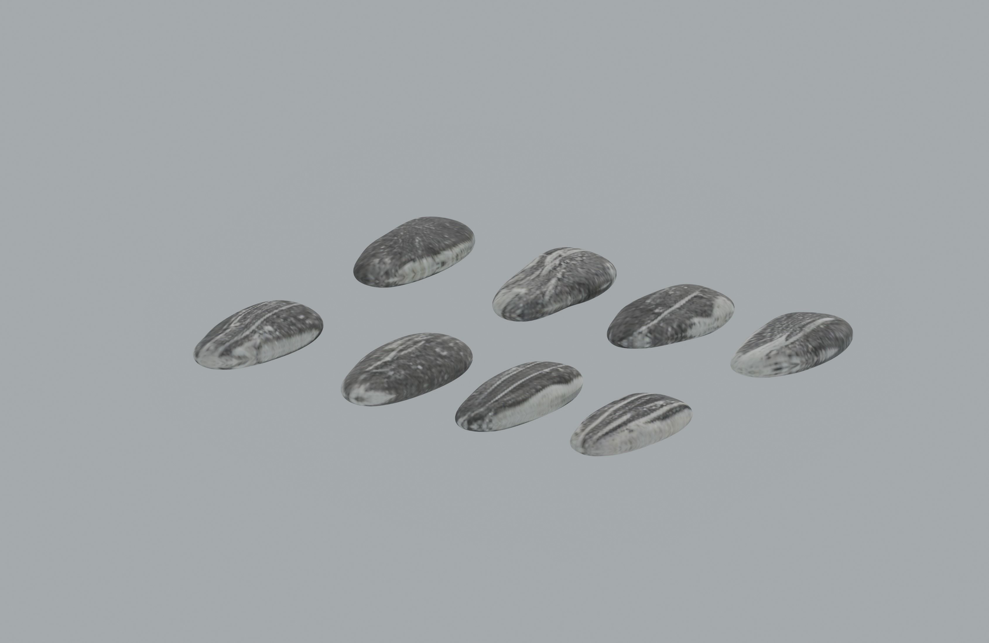 Sunflower Seeds 3D model_4