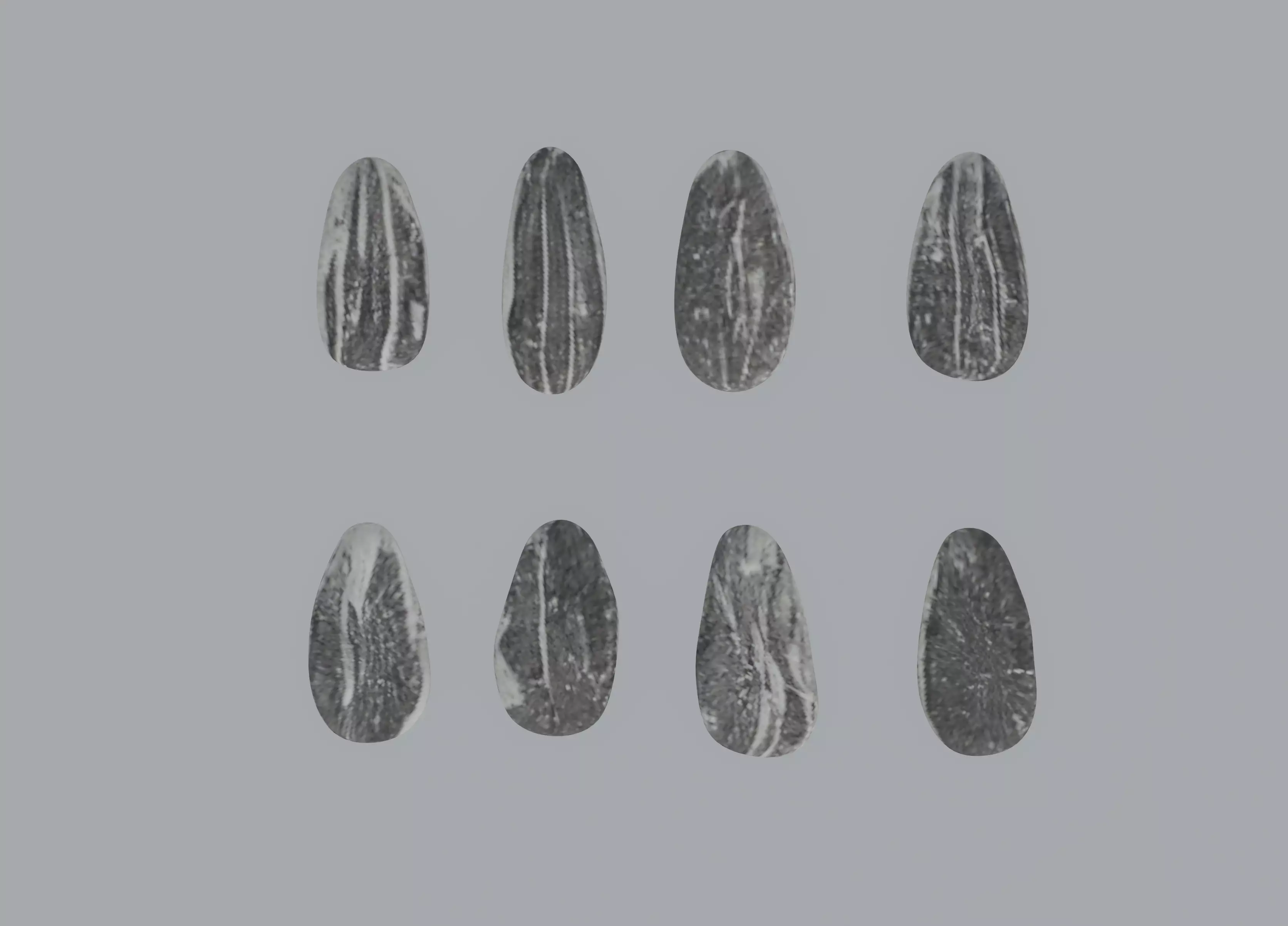 Sunflower Seeds 3D model_0