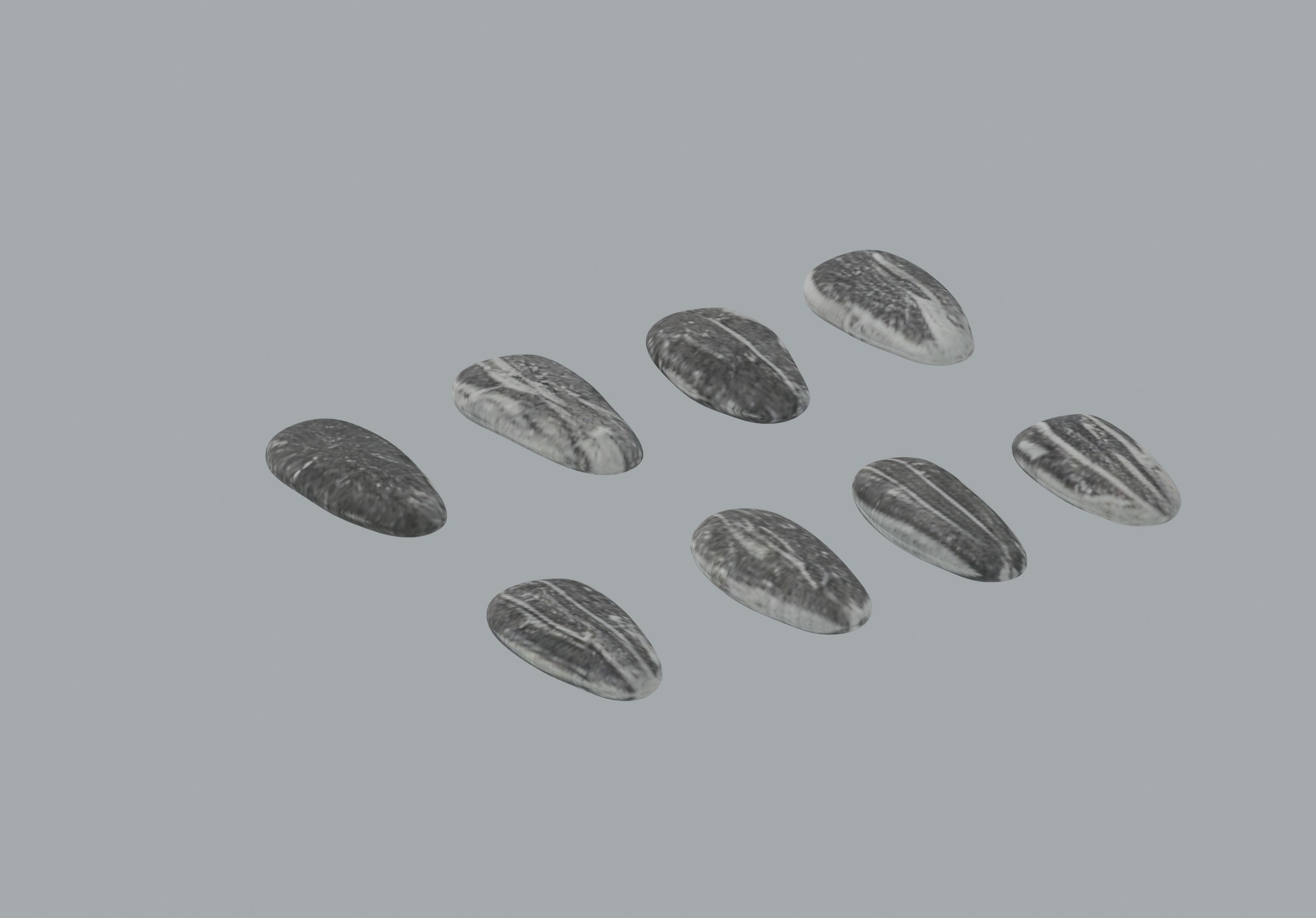 Sunflower Seeds 3D model_5
