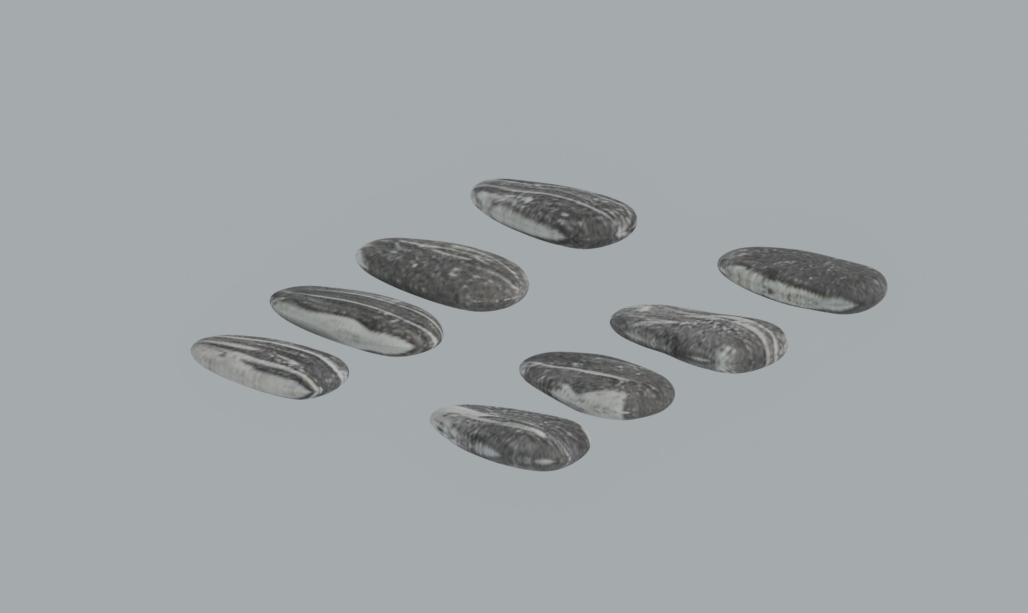 Sunflower Seeds 3D model_2