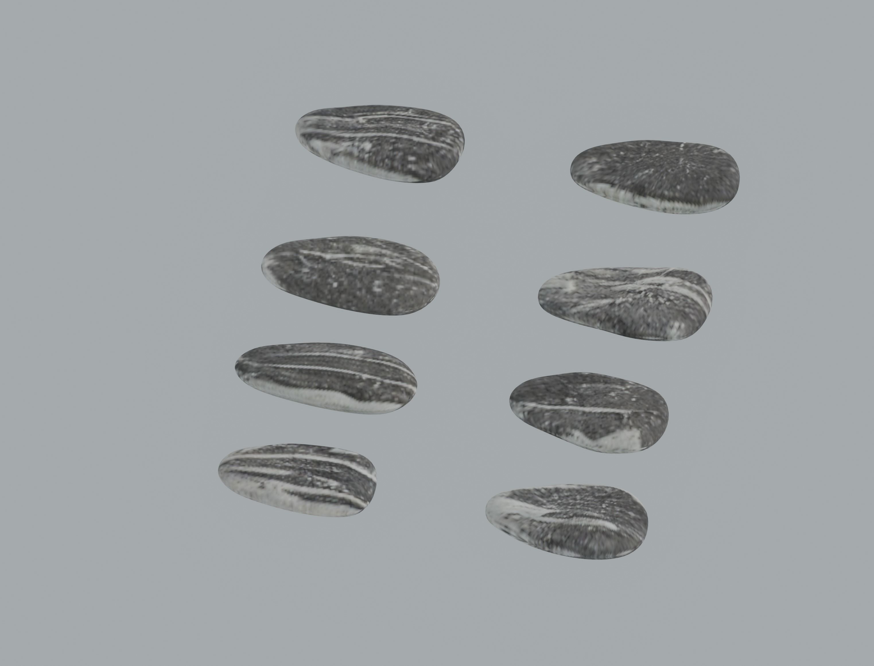 Sunflower Seeds 3D model_3