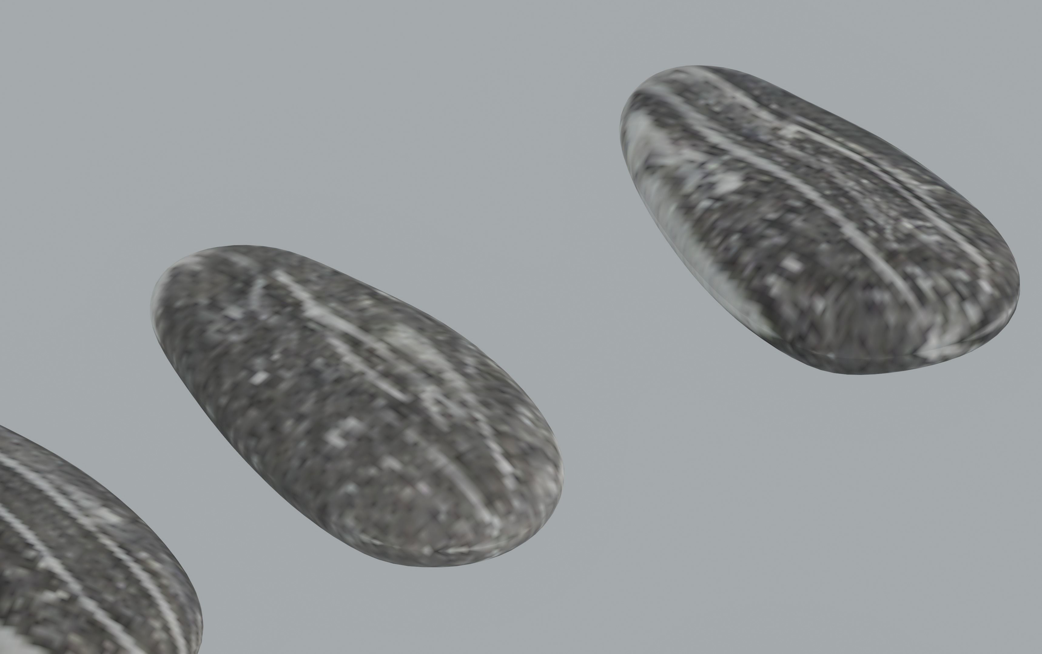 Sunflower Seeds 3D model_7
