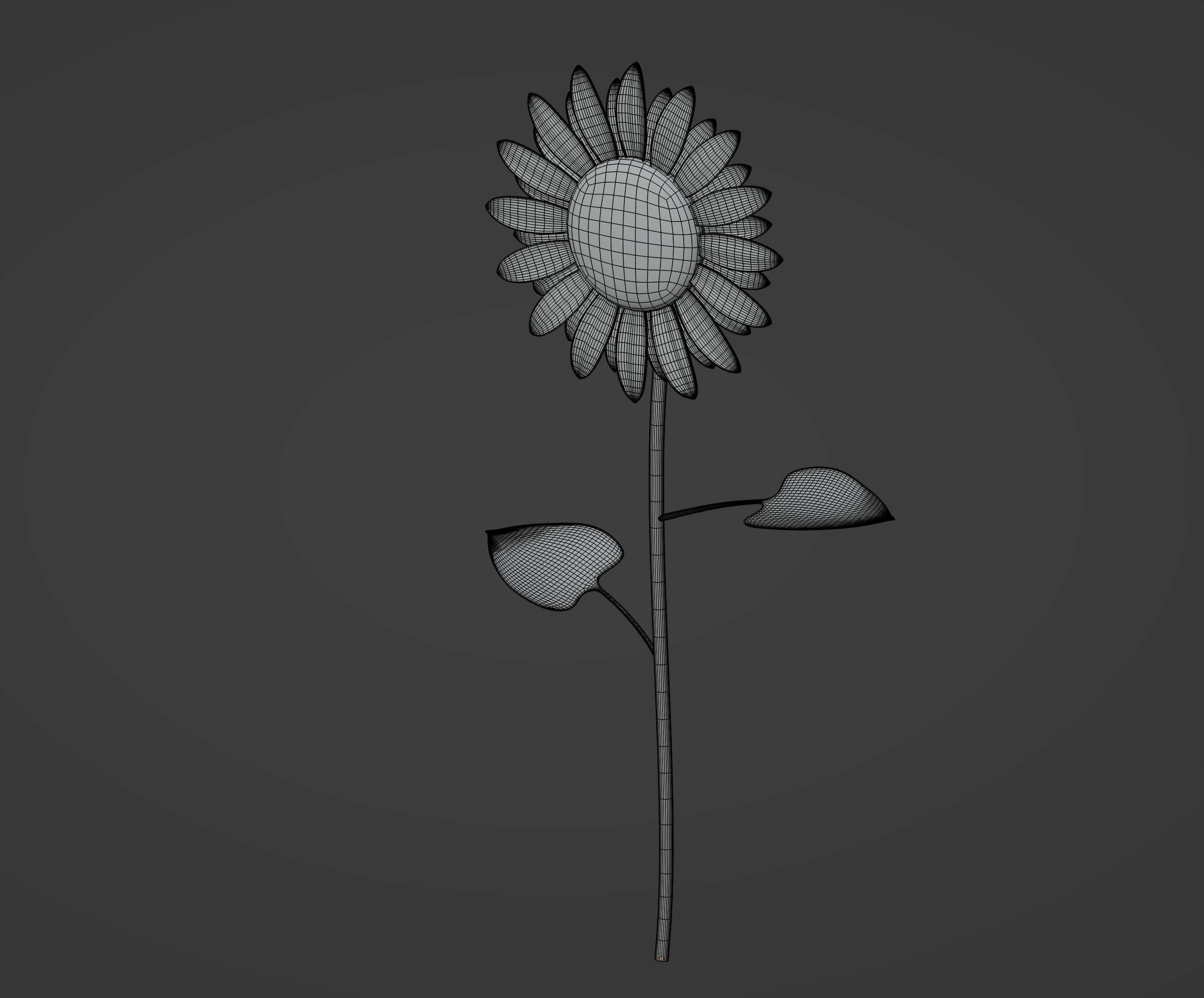 Sunflower 3D model_14