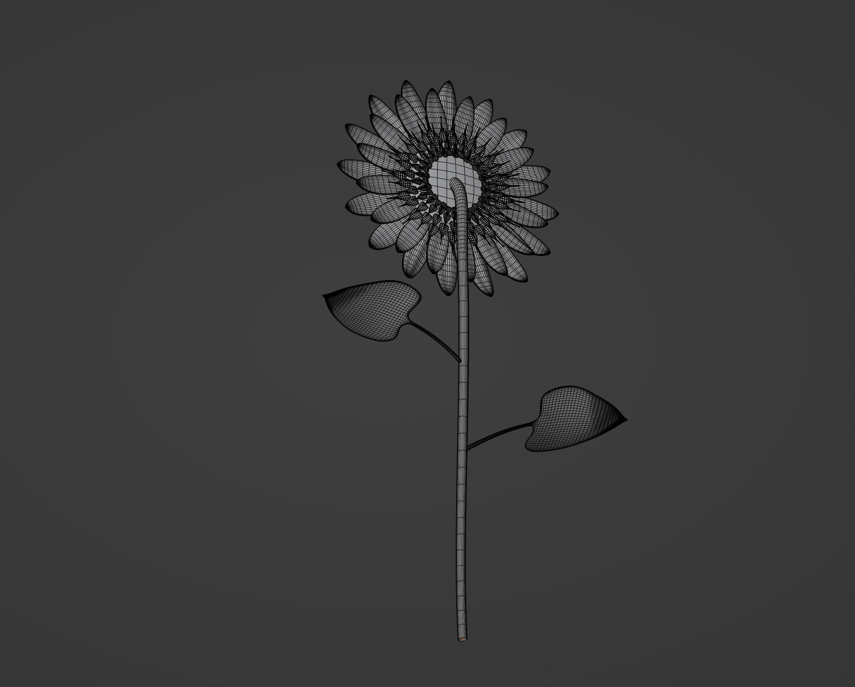 Sunflower 3D model_15