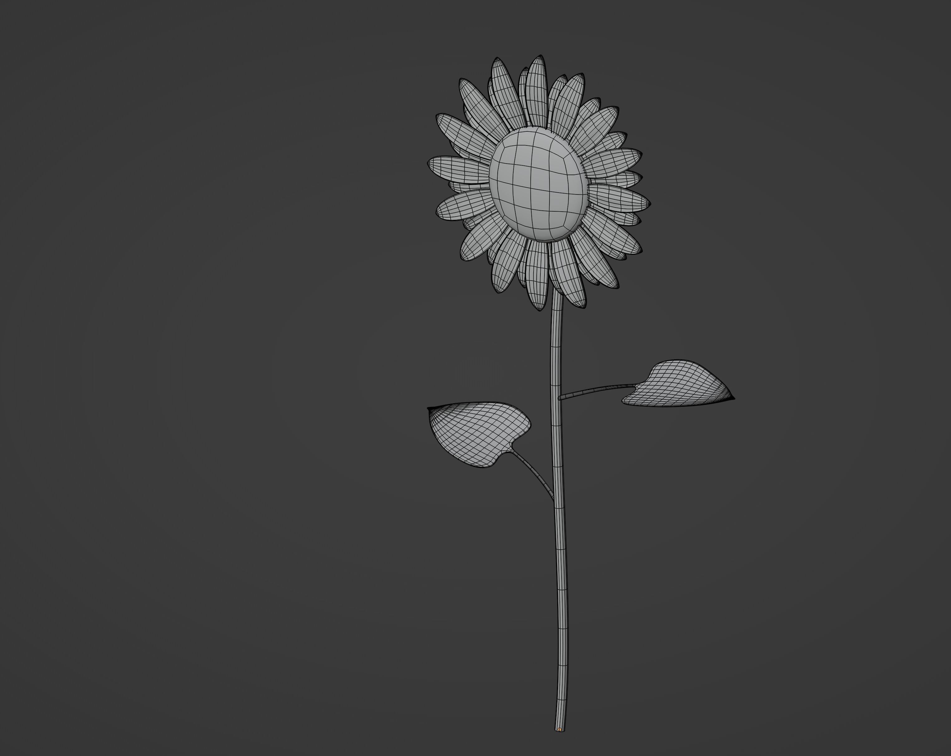 Sunflower 3D model_13