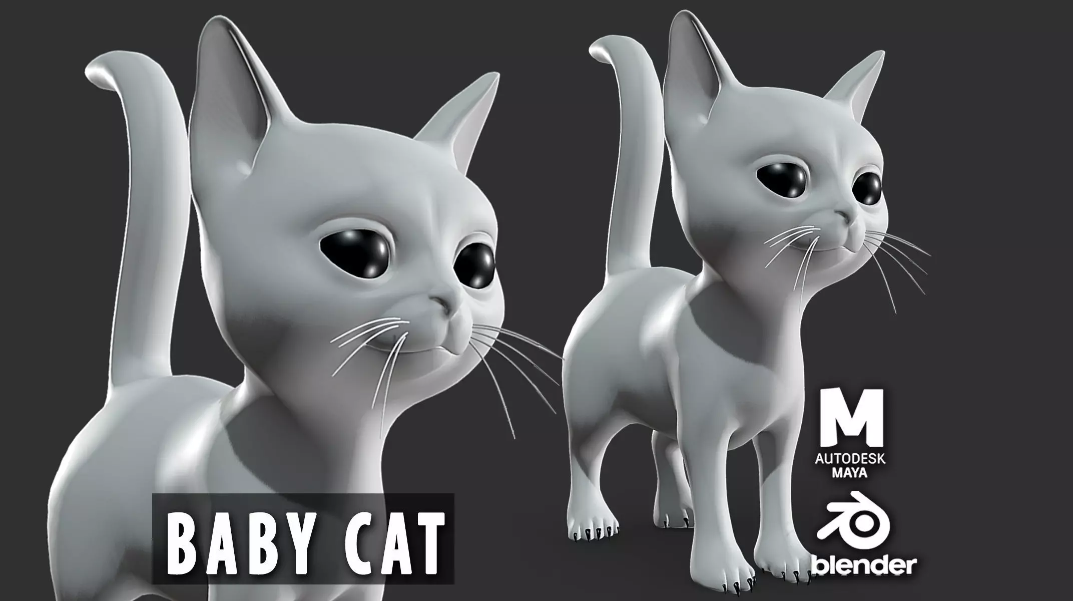 Baby Cat Low-poly 3D model_0
