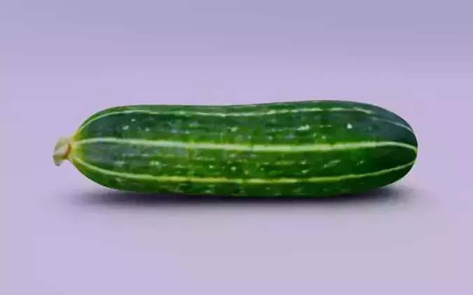 Cucumber