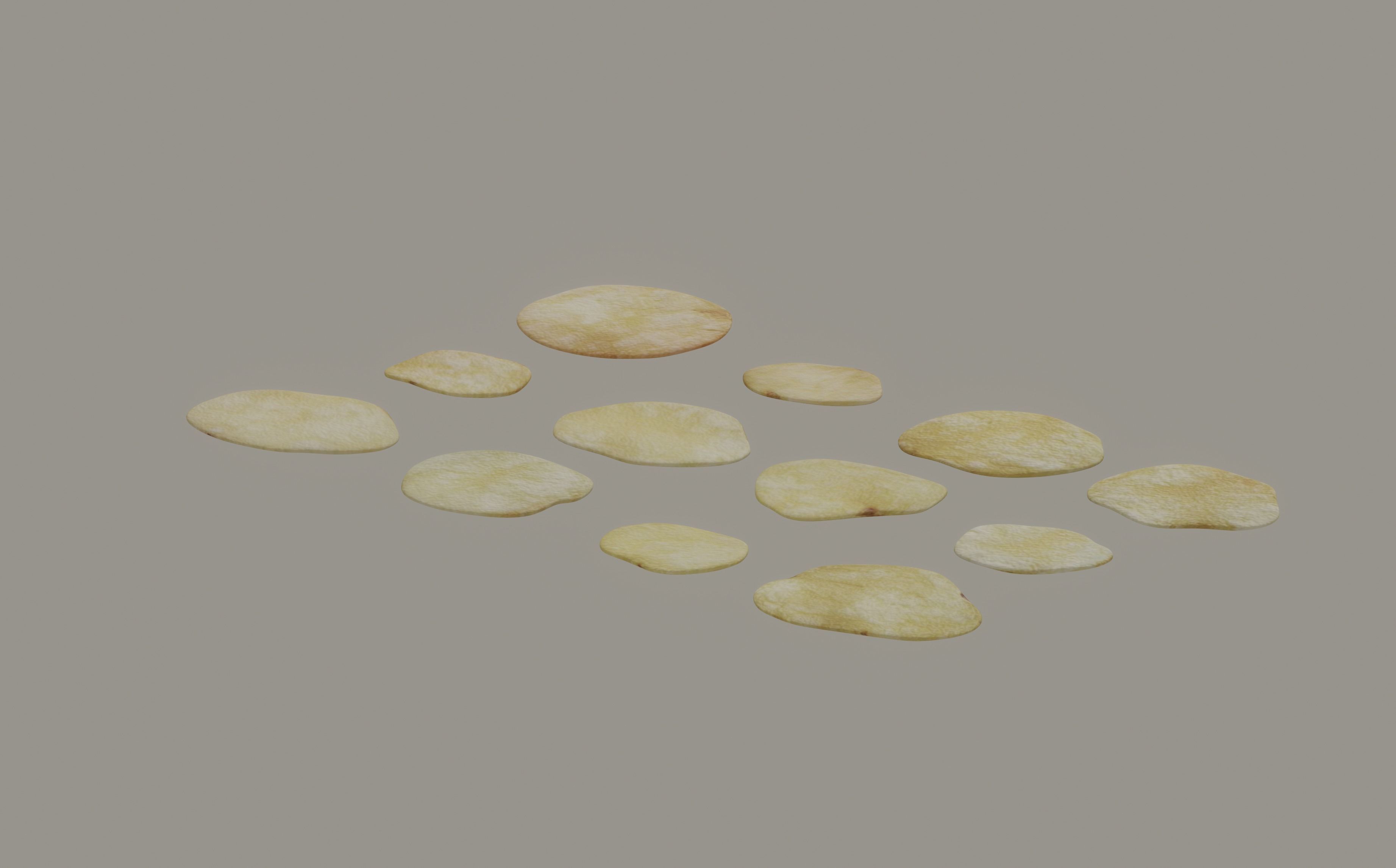 Chips 3D model_3