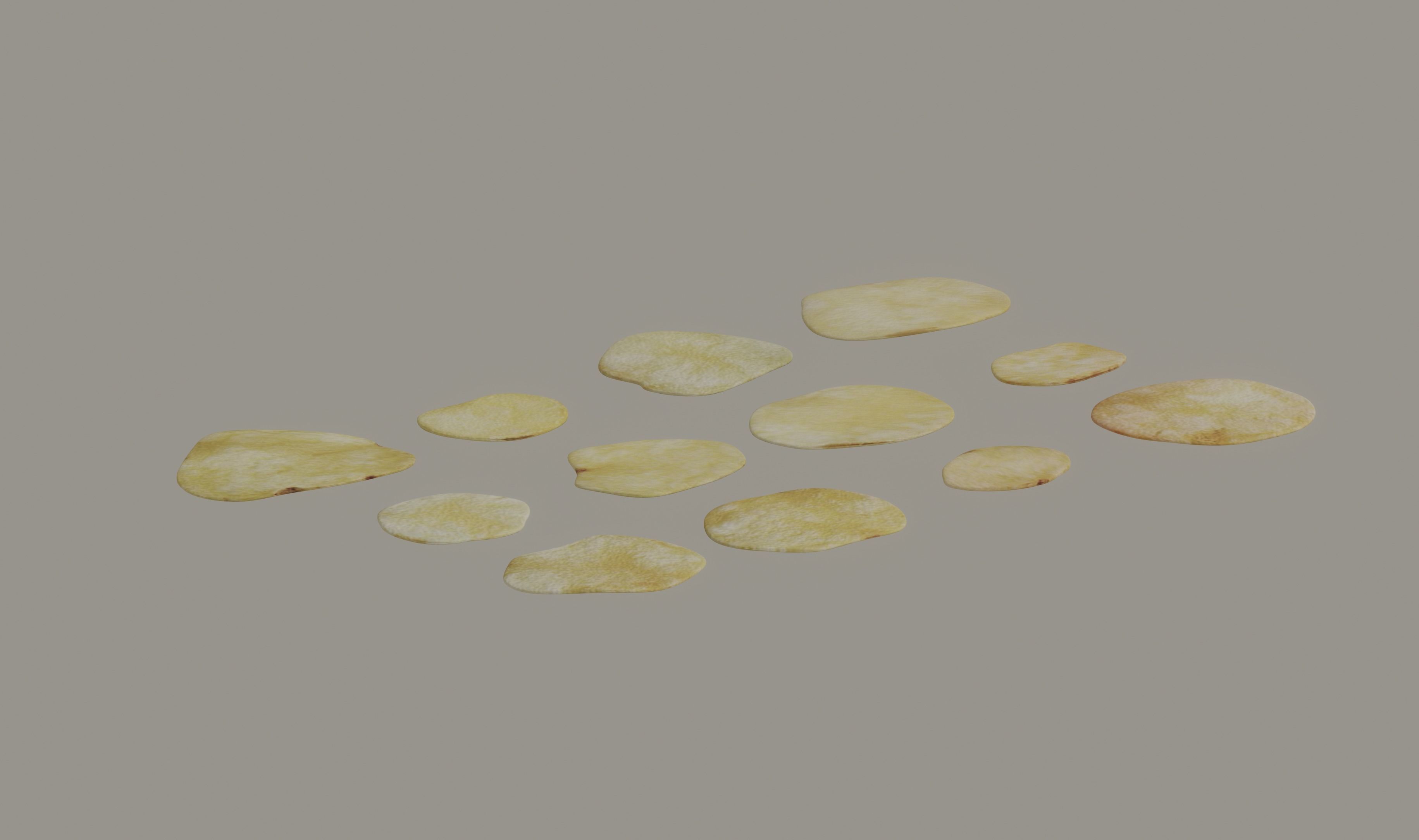 Chips 3D model_2