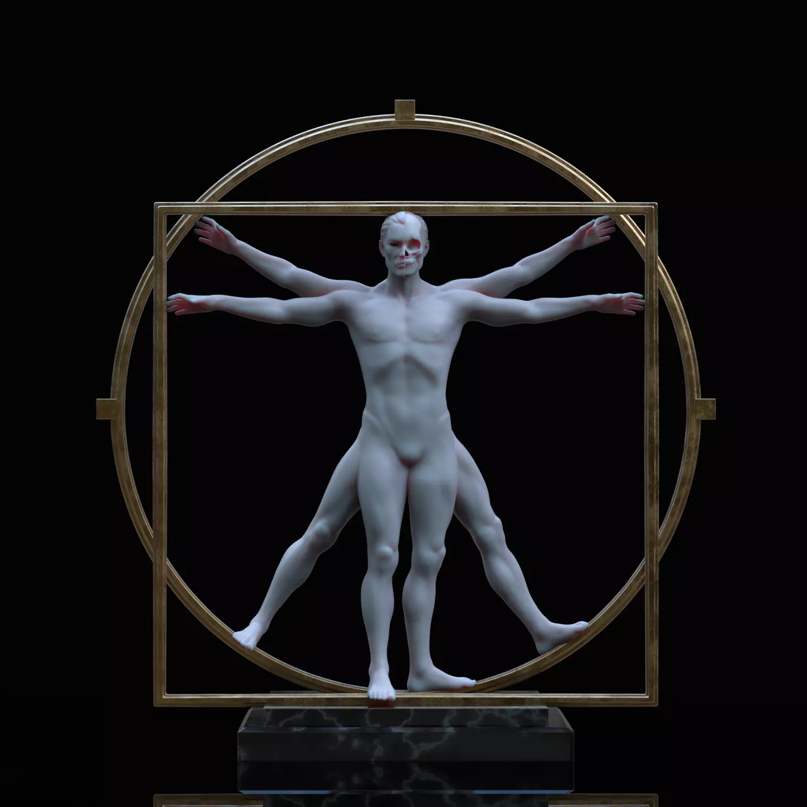 The Vitruvian Man - omsx 3D print model