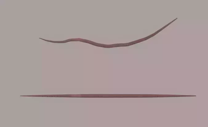 Worm model 3D model