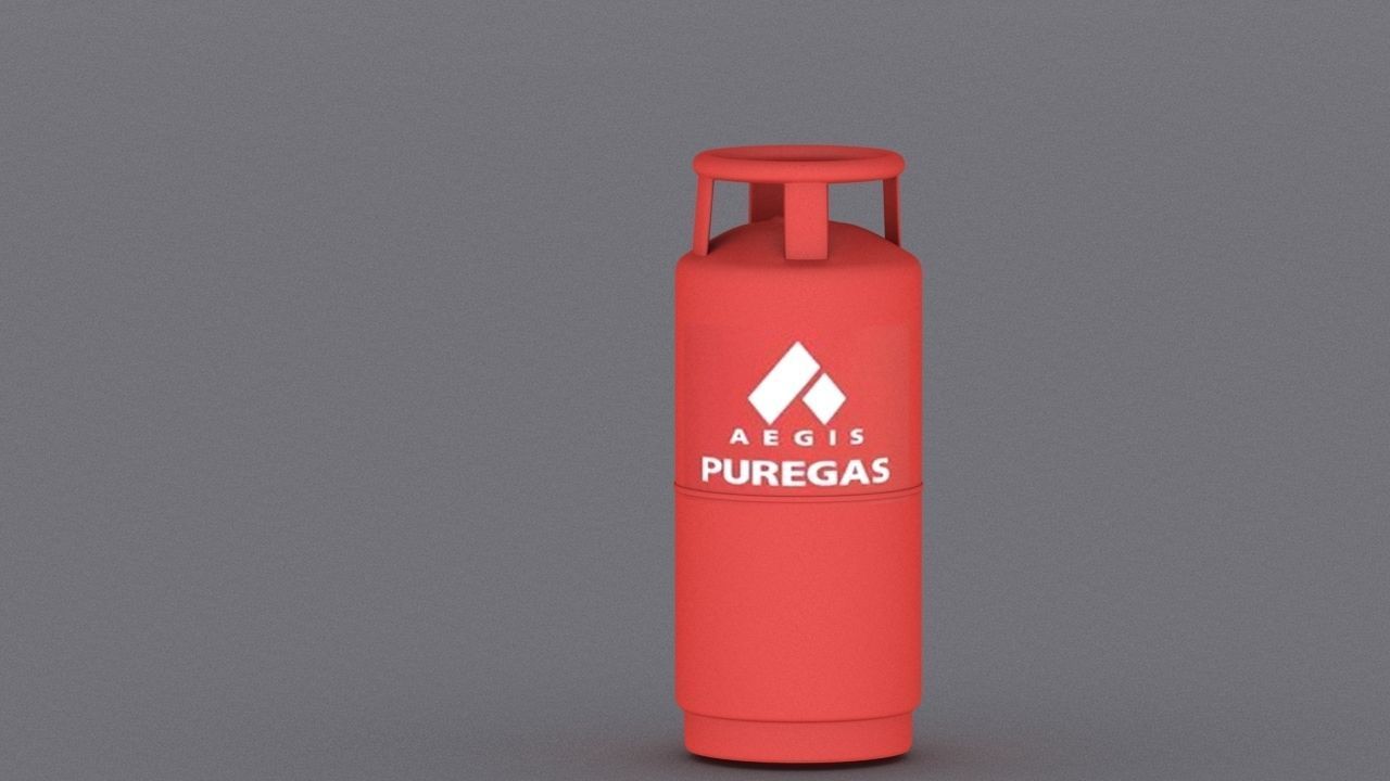 village small house Low-poly 3D model_12