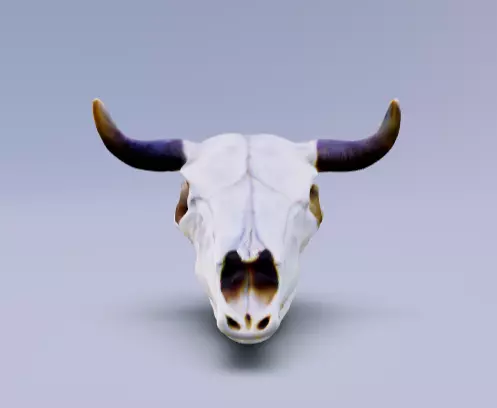 Cowboy cow skull with horns 3D model_0