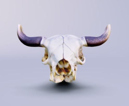 Cowboy cow skull with horns 3D model_3