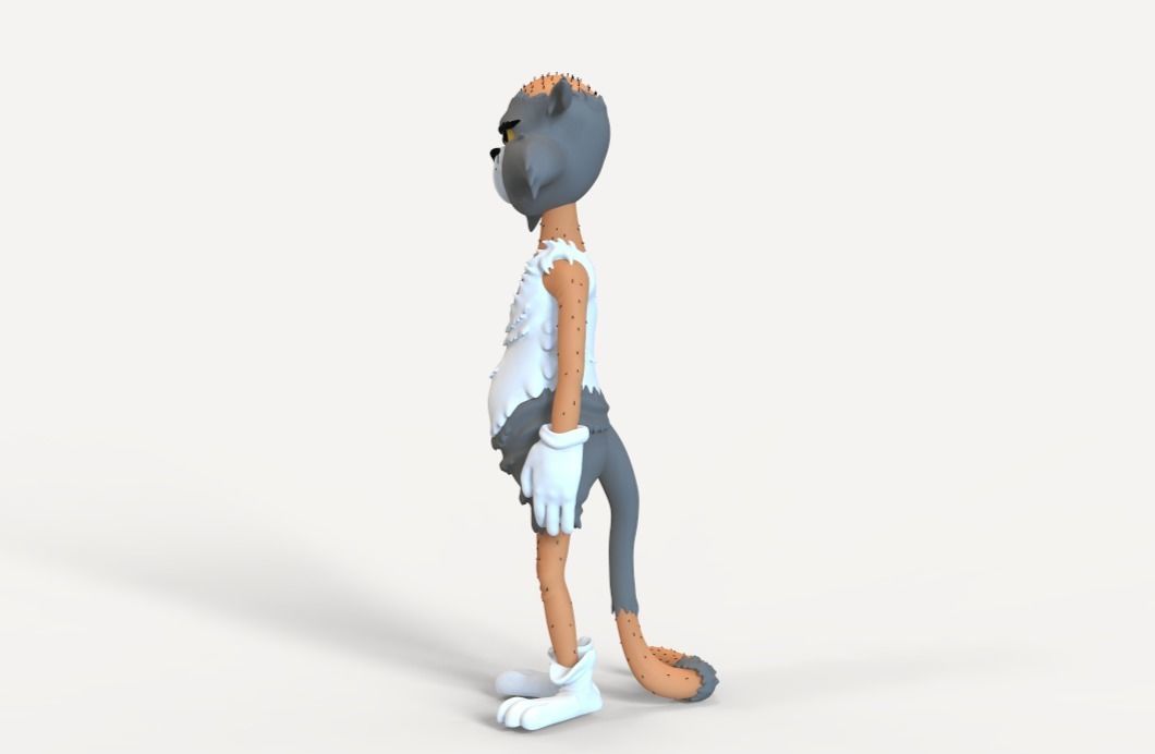 TOM AND JERRY - BALD TOM 3D print model_3