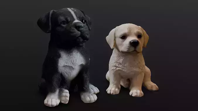 2 Cute Dogs