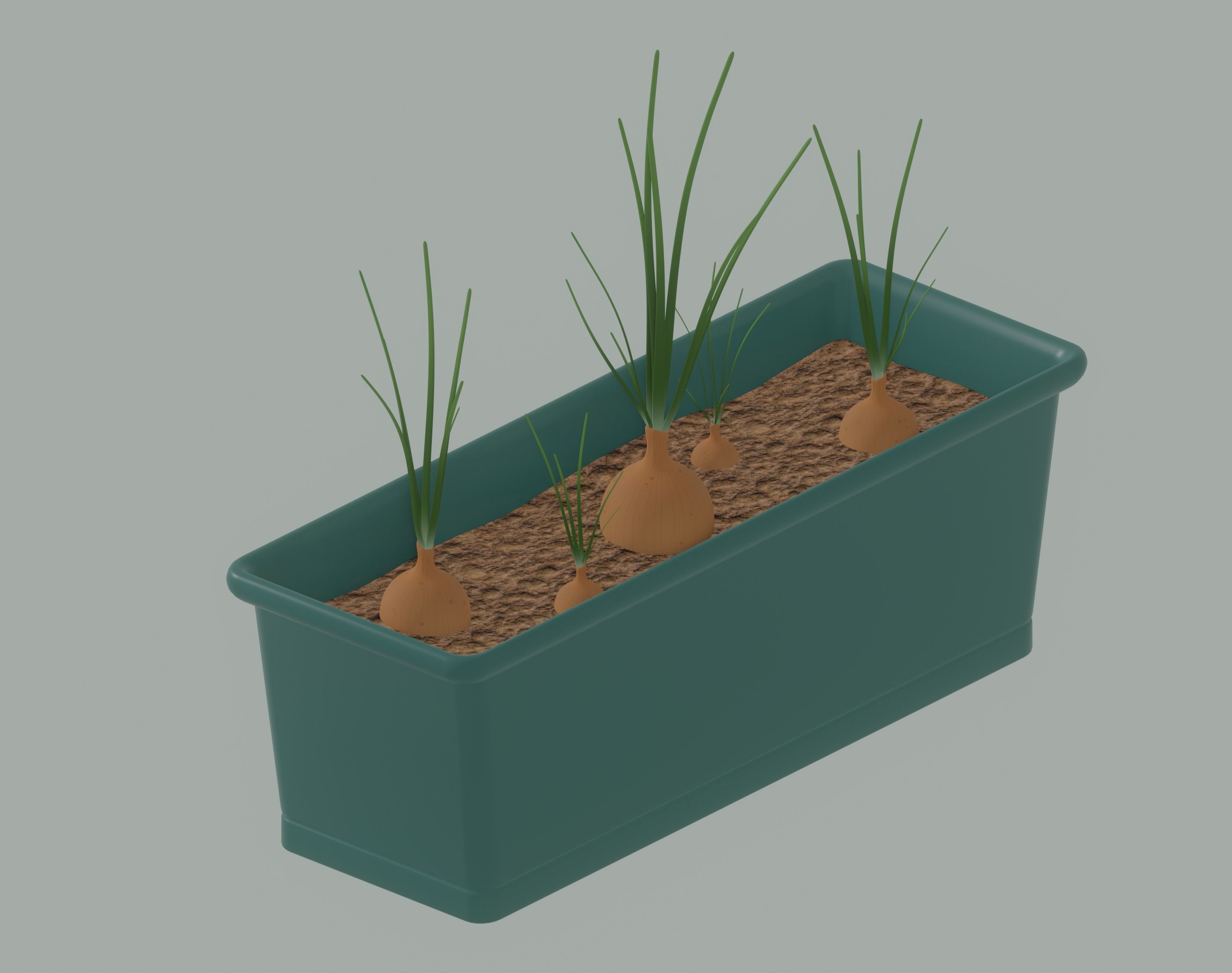 Planter Box with Growing Onions 3D model_5